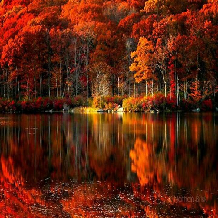 5dbc9645a6eee67f2937112f2425ee49 fall on autumn fall