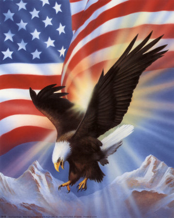 5819American Eagle and Flag II Posters