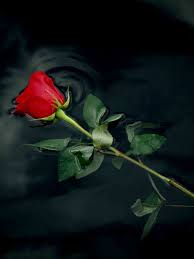 images 2 1