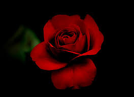 images 3 1