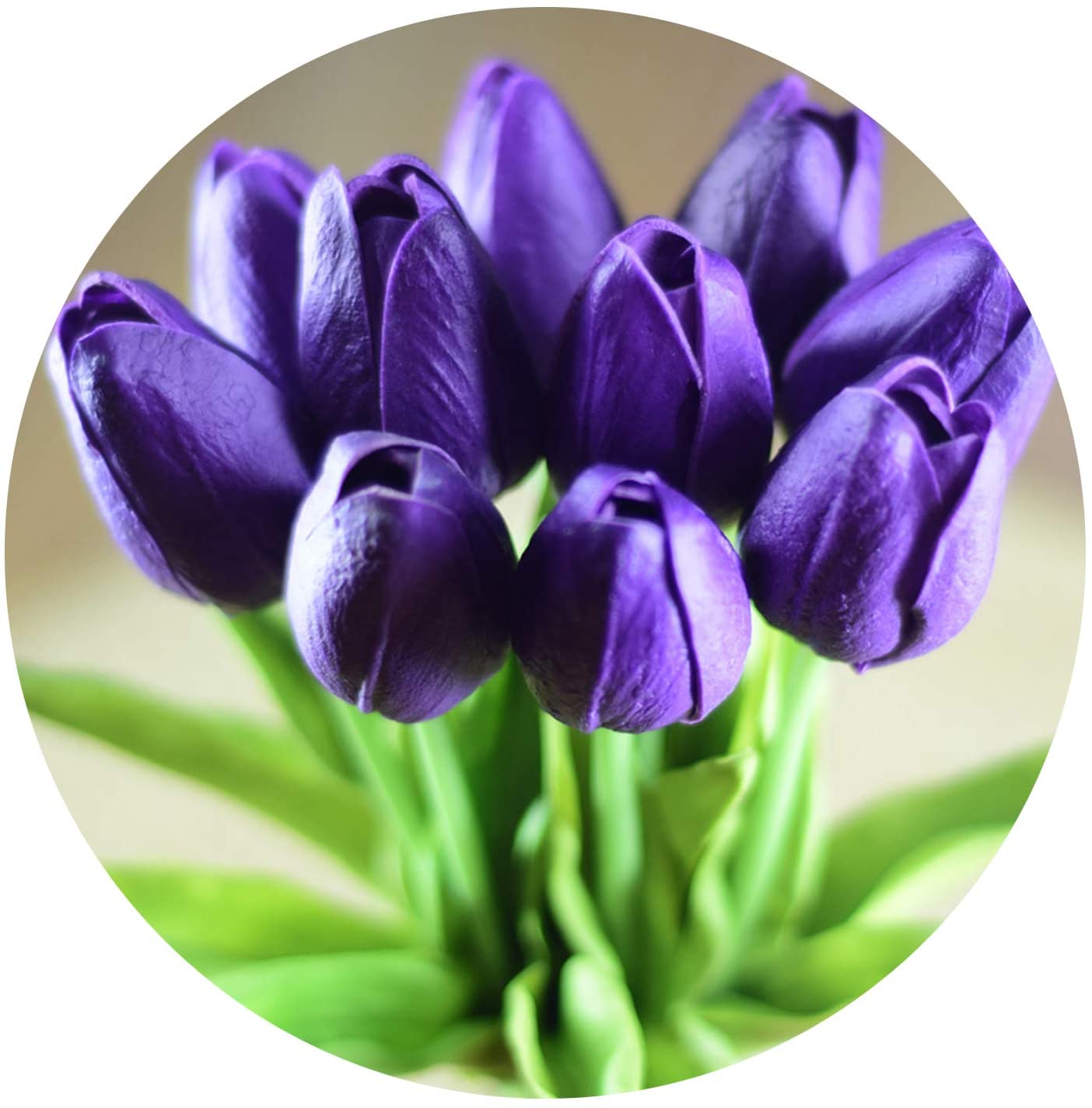 61WvNrcRDPL. AC SL1500