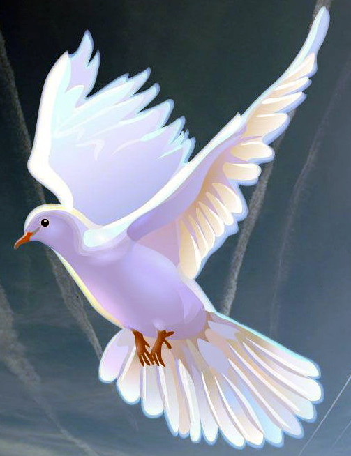 DOVE