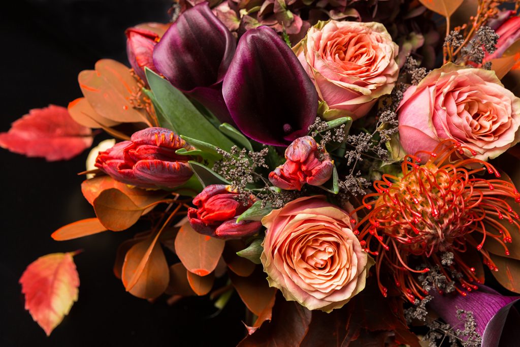 Banner Autumn flowers 1 1024x683 1