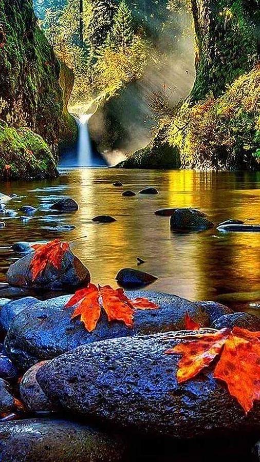 astonishing scenic beauty of nature durgasrinivas yarramsetty