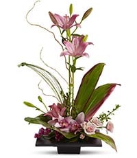 Imagination Blooms with Cymbidium Orchids